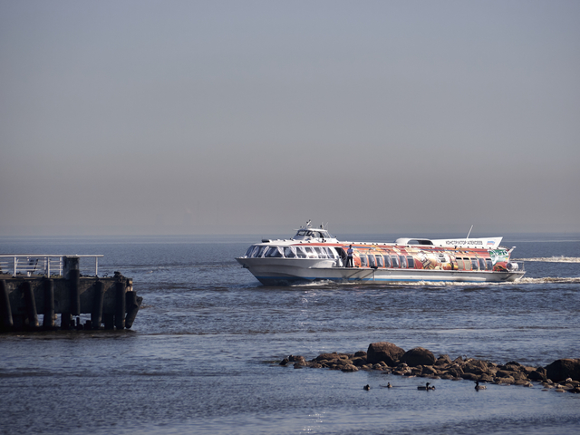 20130603-102911•Peterhof Palace•Peterhof•St.Petersburg•Russia